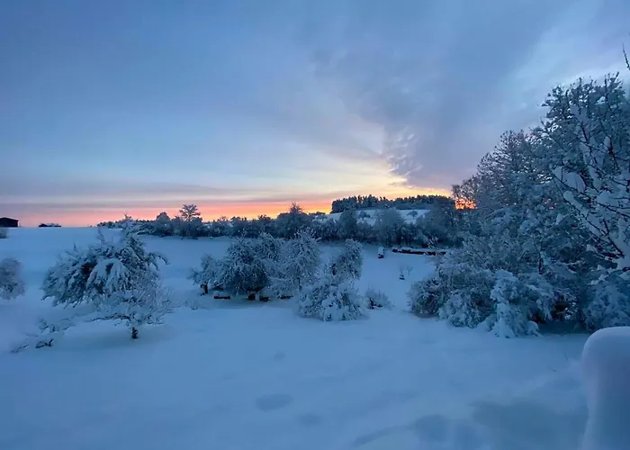 Schoenblick * Freudenstadt